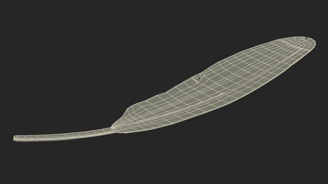 3D Amazon Parrot Feather 2 model