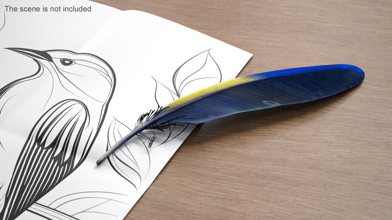 3D Amazon Parrot Feather 2 model