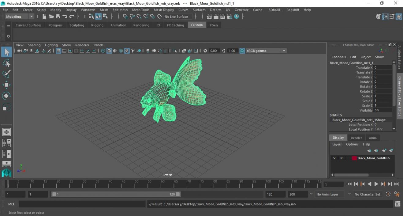 Black Moor Goldfish 3D model