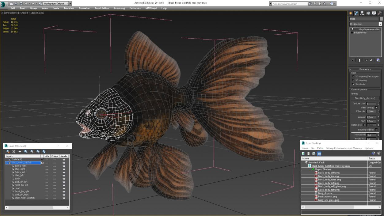 Black Moor Goldfish 3D model