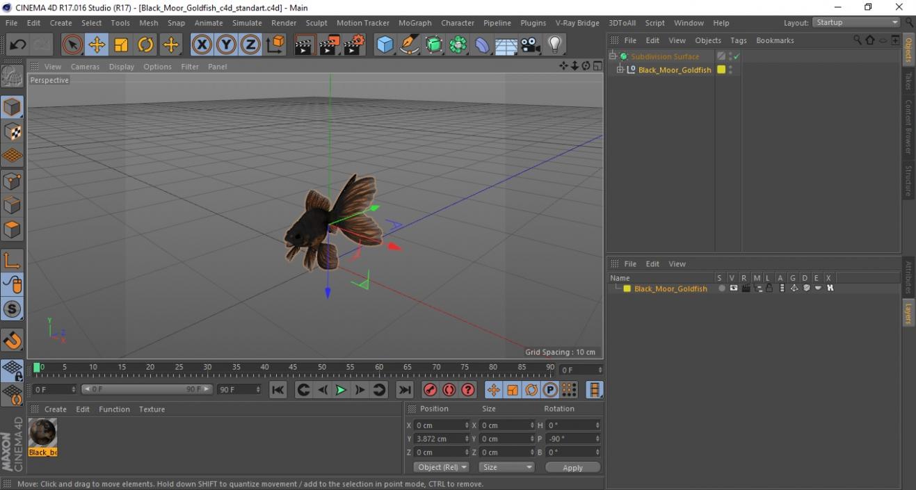 Black Moor Goldfish 3D model