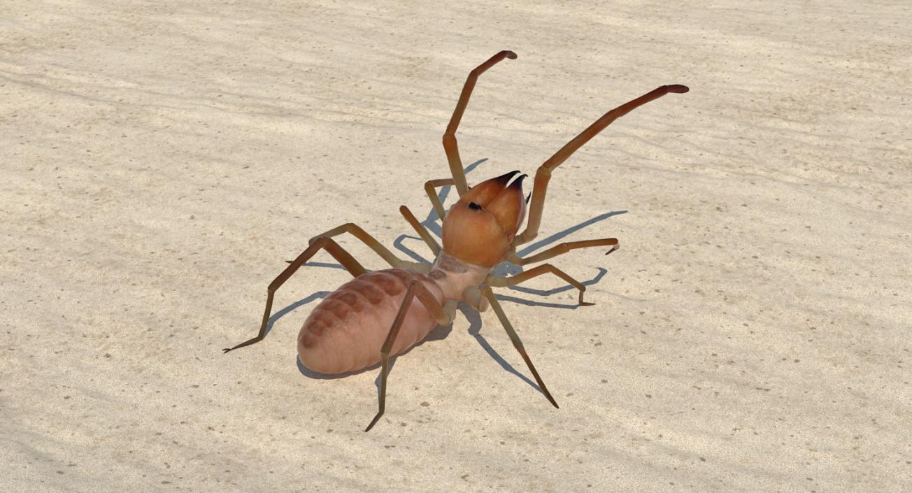 3D model Wind Scorpion Spider