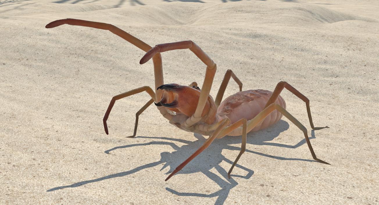 3D model Wind Scorpion Spider