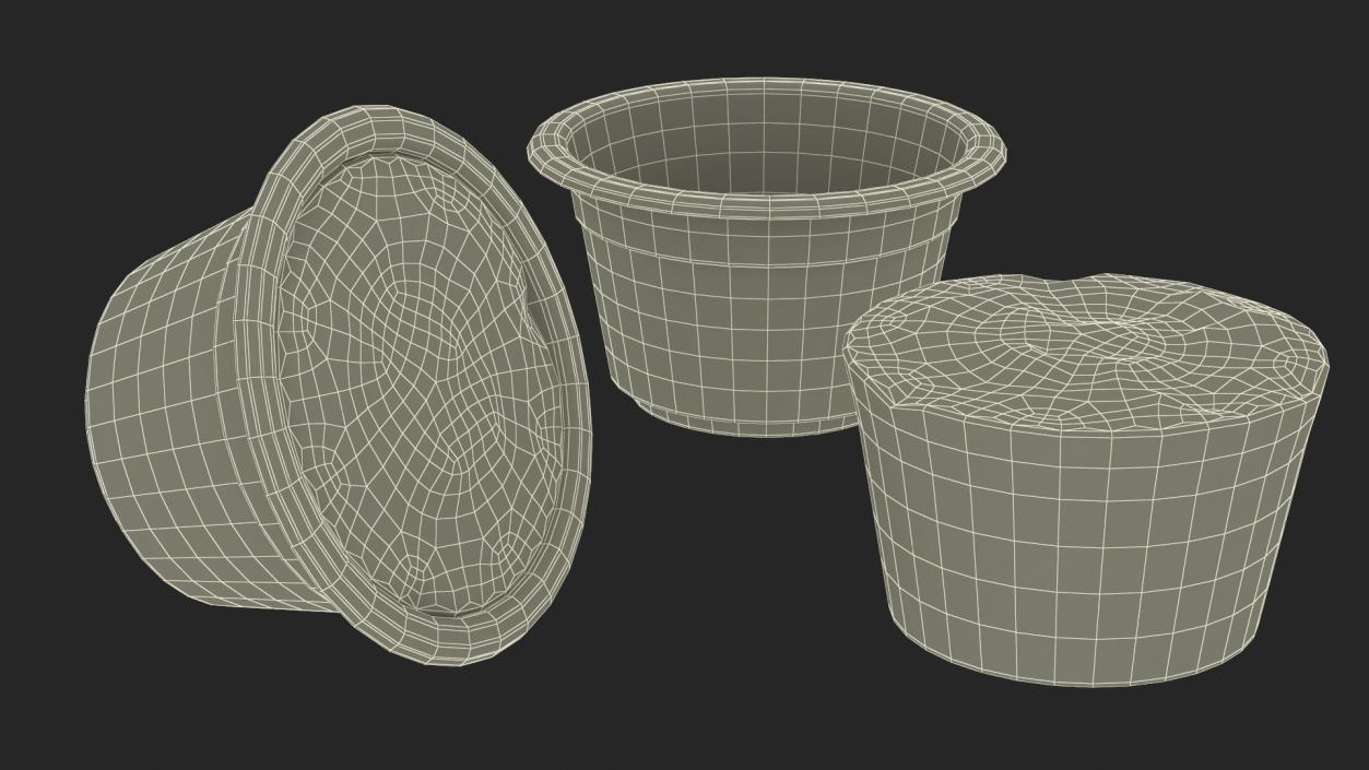 Plant Pot with Soil 3D model