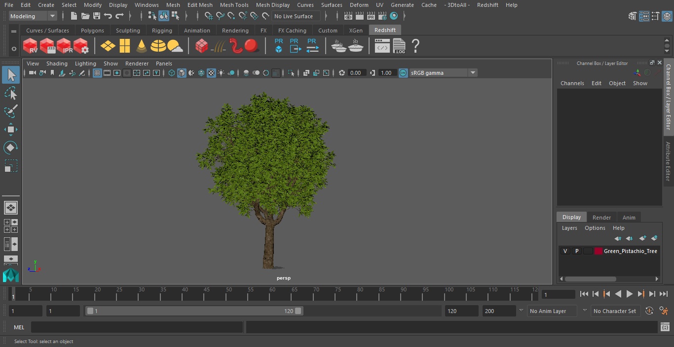 3D model Green Pistachio Tree