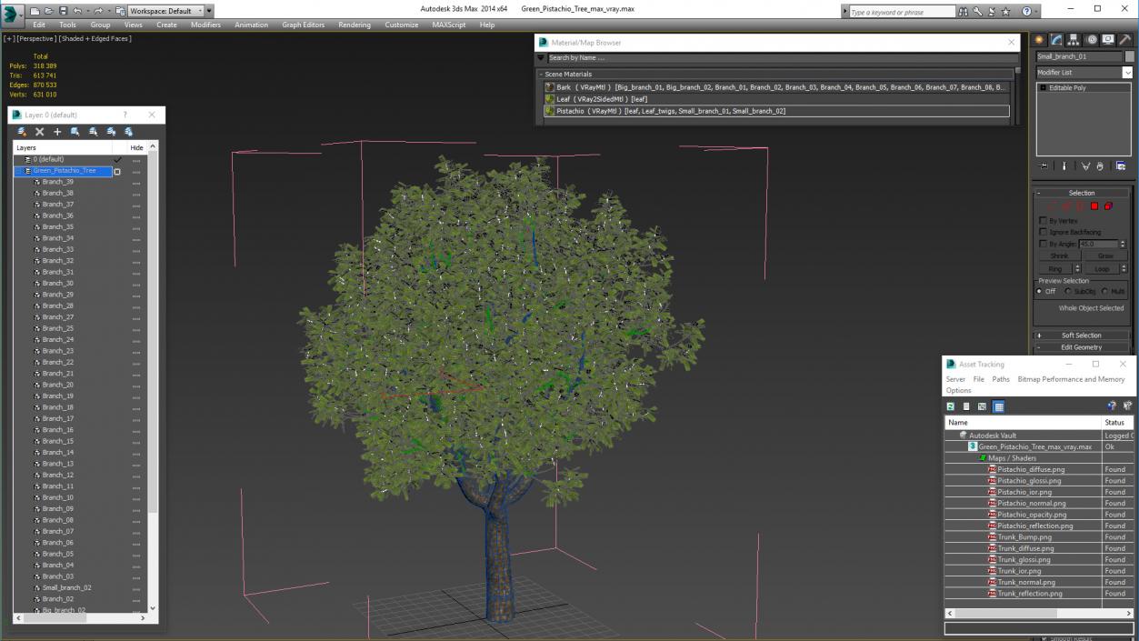 3D model Green Pistachio Tree