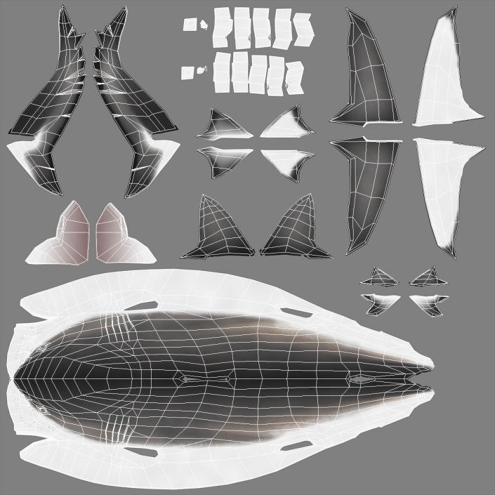 Carcharhinus Obscurus Shark 3D