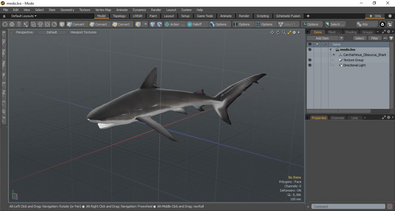 Carcharhinus Obscurus Shark 3D