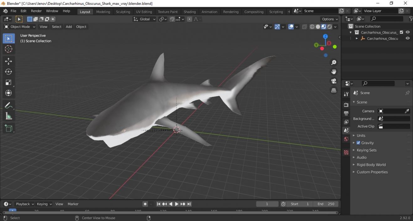 Carcharhinus Obscurus Shark 3D