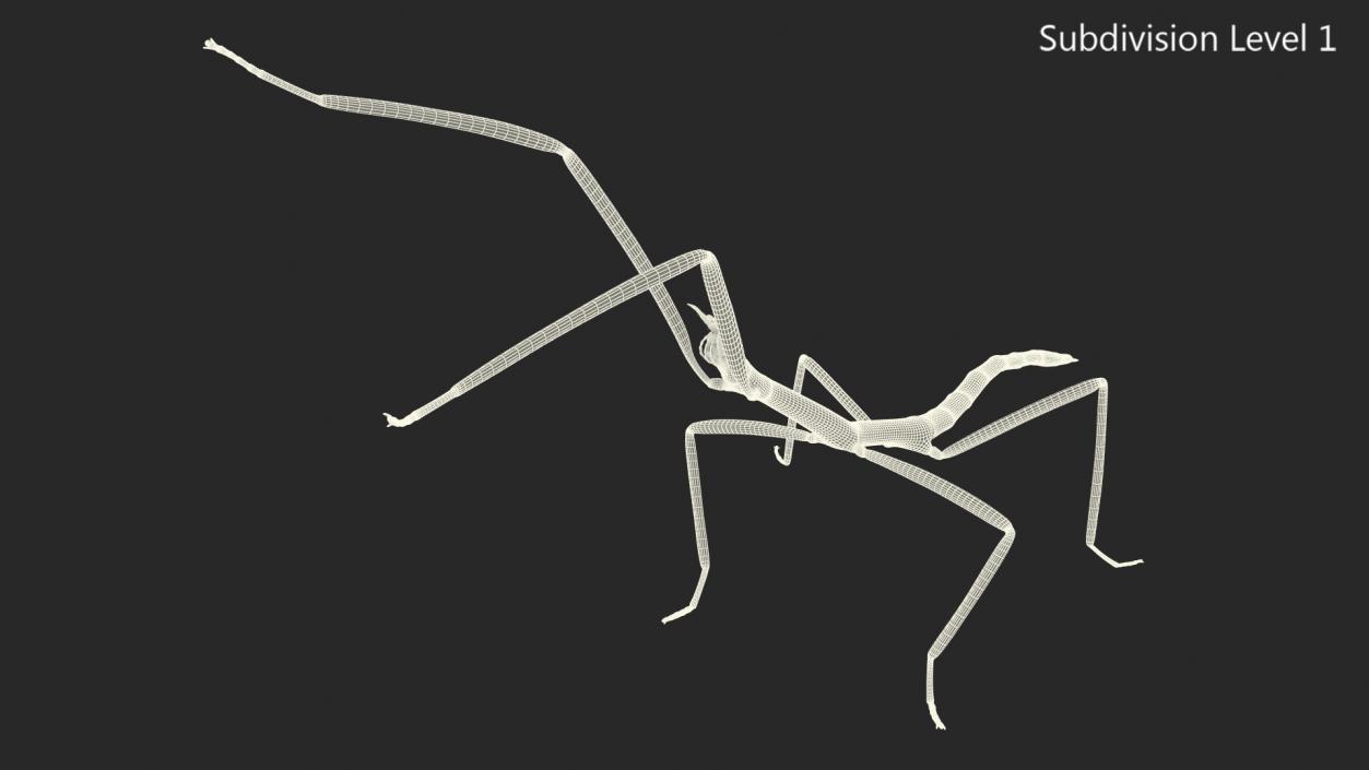 3D model Stick Insect Brown Attack Pose