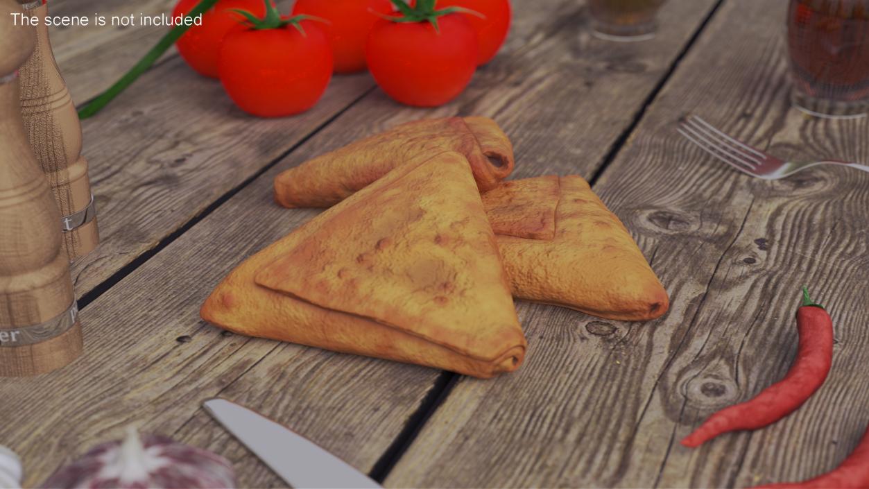 3D model Samosa