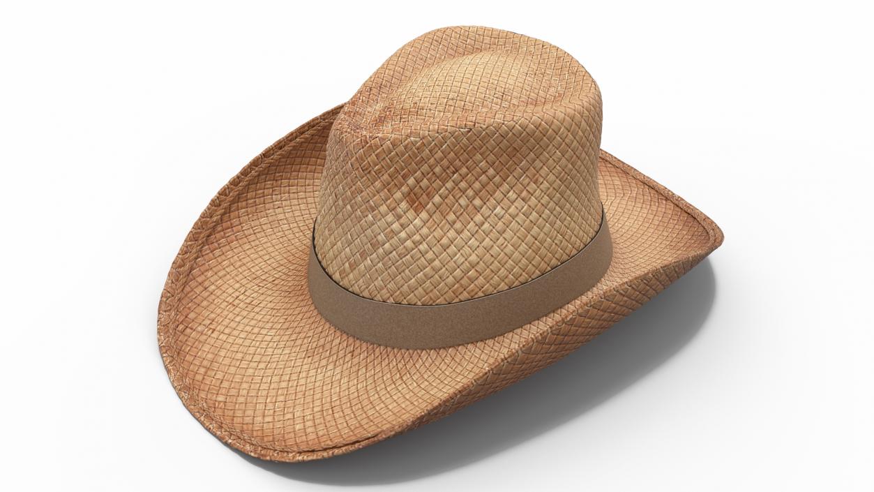 Straw Cowboy Western Hat 3D model