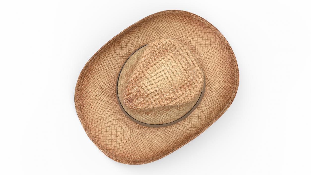 Straw Cowboy Western Hat 3D model