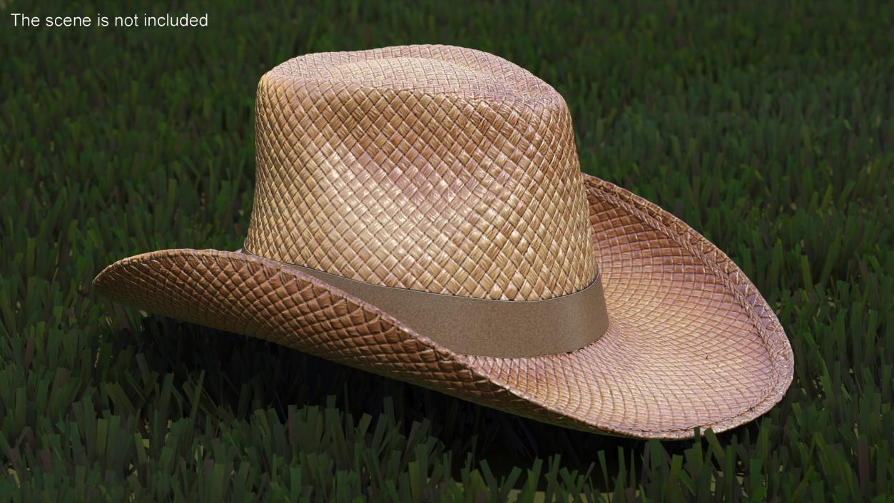 Straw Cowboy Western Hat 3D model