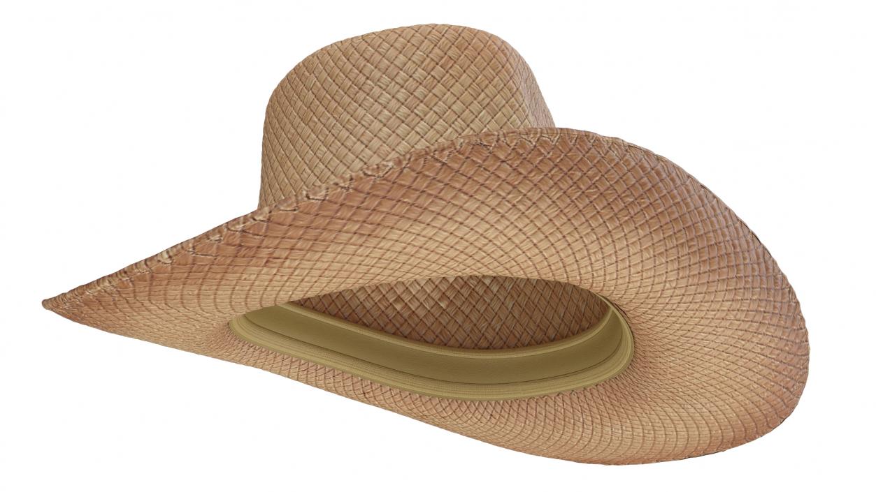 Straw Cowboy Western Hat 3D model