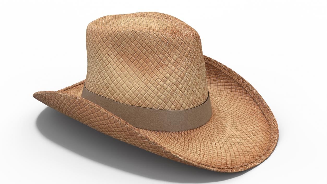 Straw Cowboy Western Hat 3D model