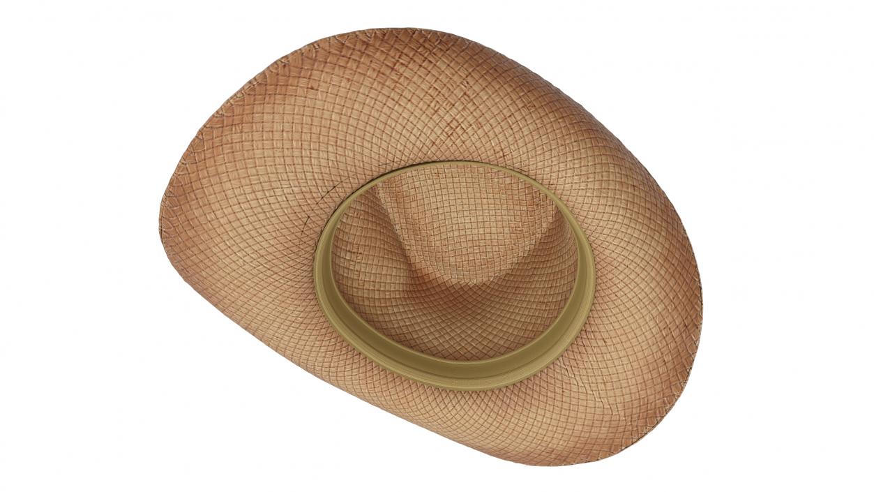 Straw Cowboy Western Hat 3D model