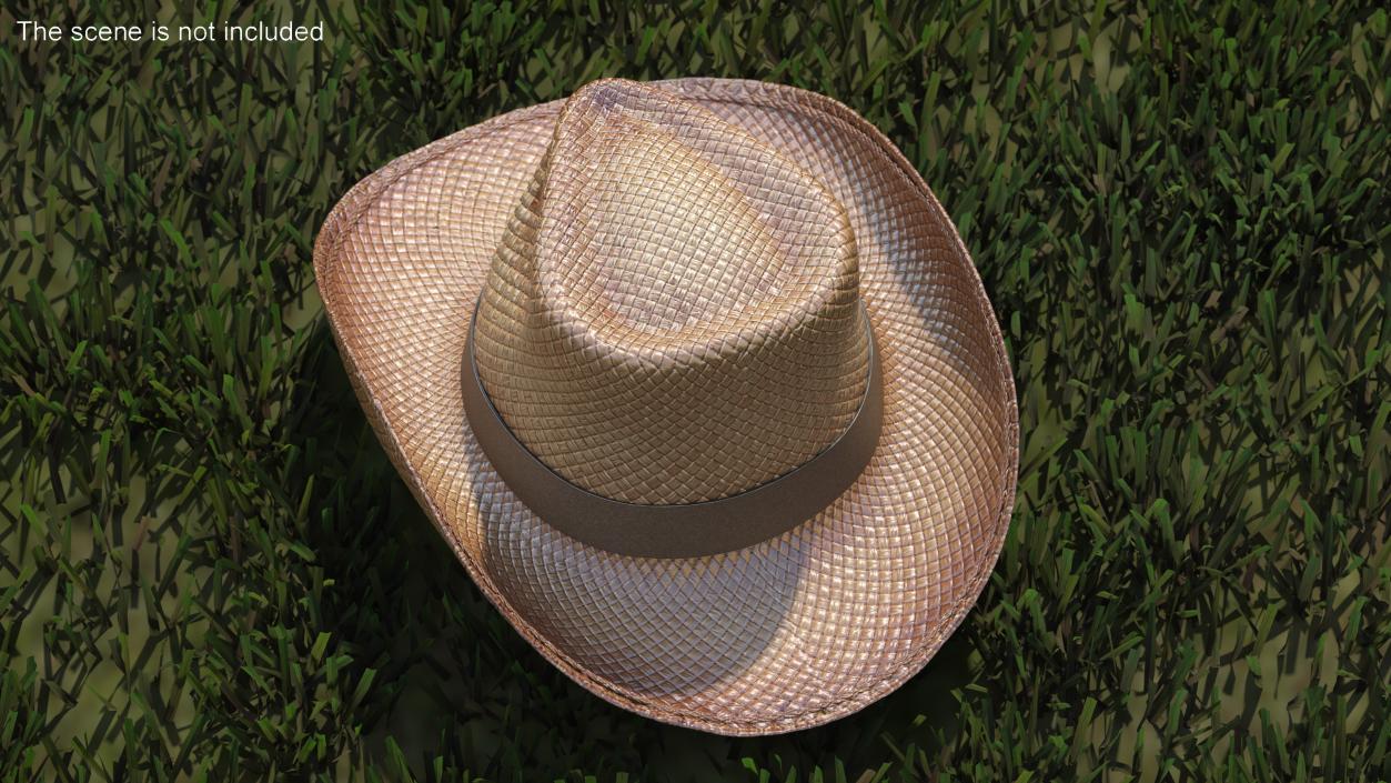 Straw Cowboy Western Hat 3D model