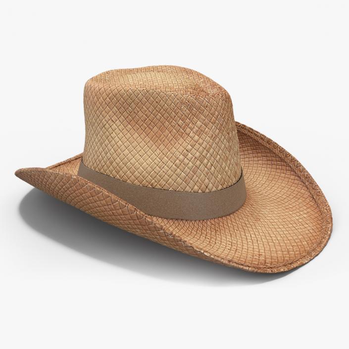 Straw Cowboy Western Hat 3D model