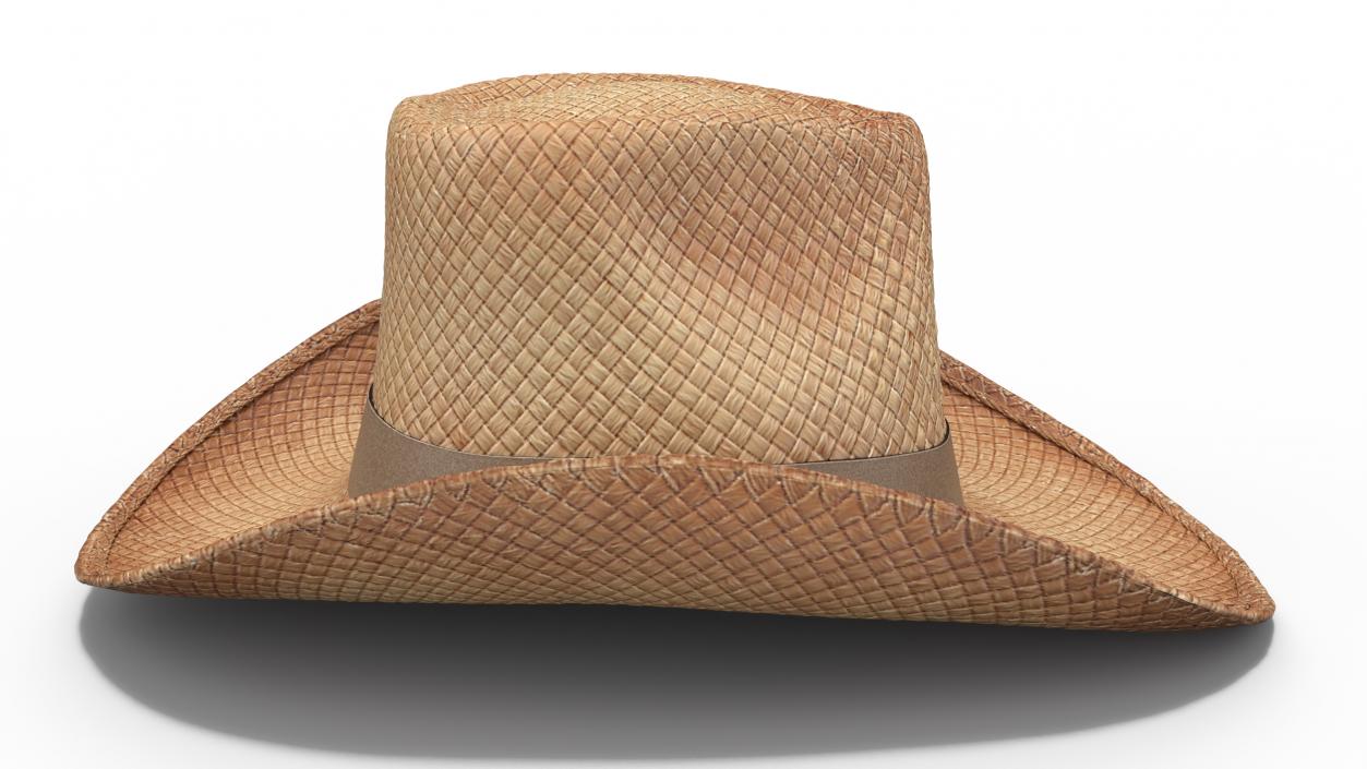 Straw Cowboy Western Hat 3D model