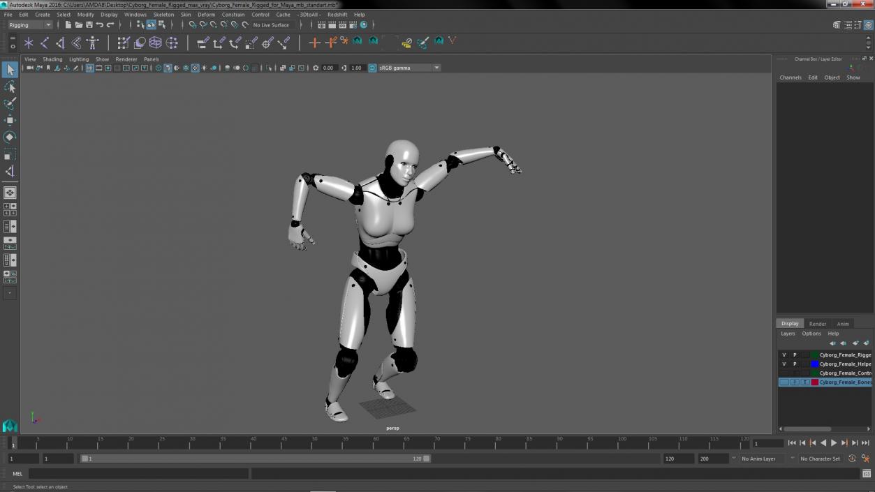 Cyborg Female Rigged for Maya 3D model