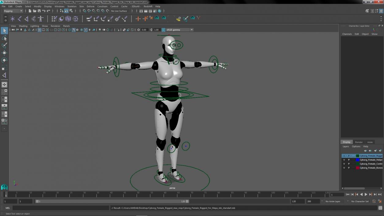 Cyborg Female Rigged for Maya 3D model