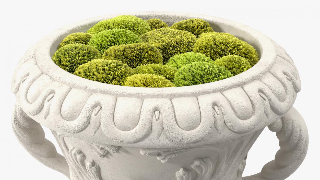 3D Planter Urn On Plinth With Moss Garden model