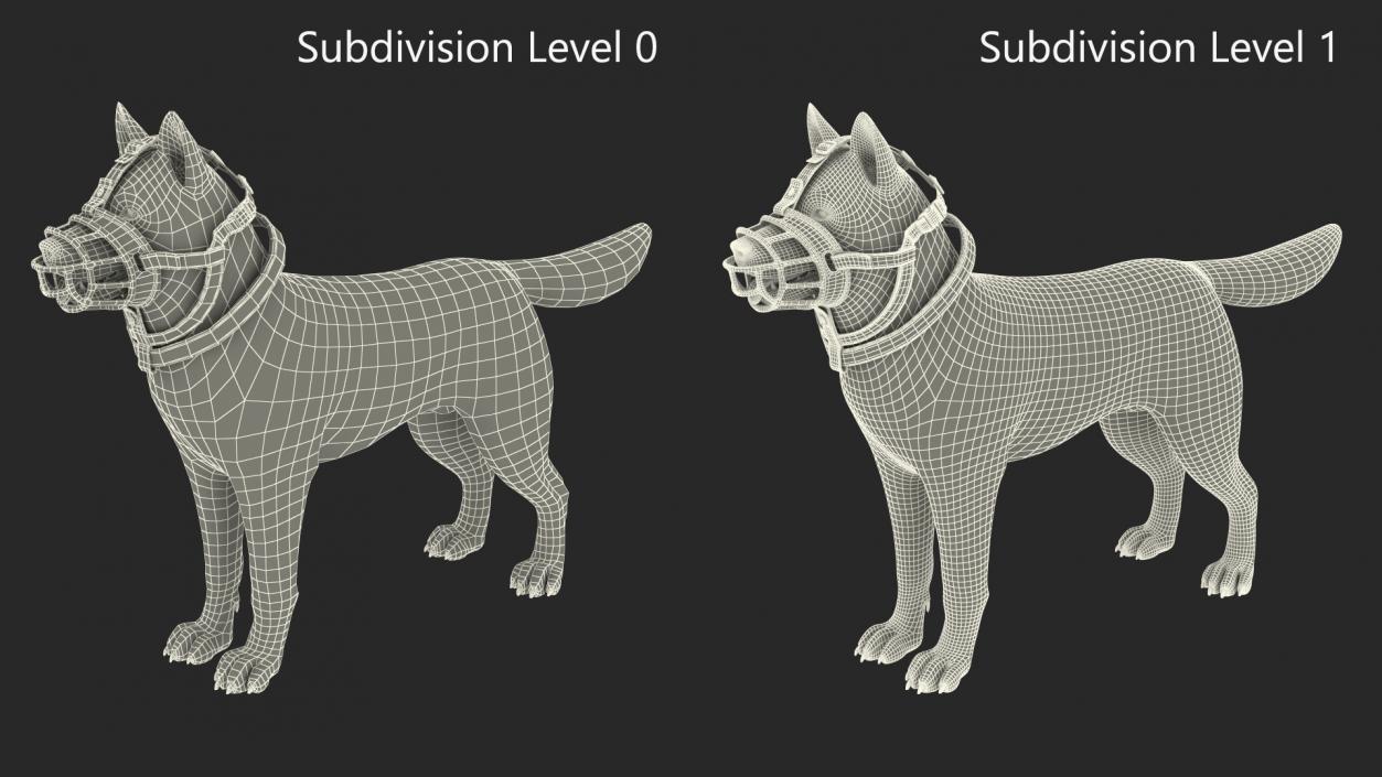 3D Husky in a Muzzle Baskerville Fur model