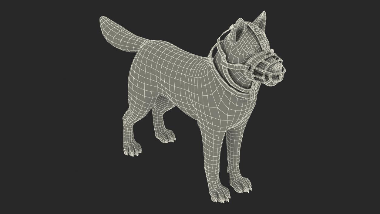 3D Husky in a Muzzle Baskerville Fur model