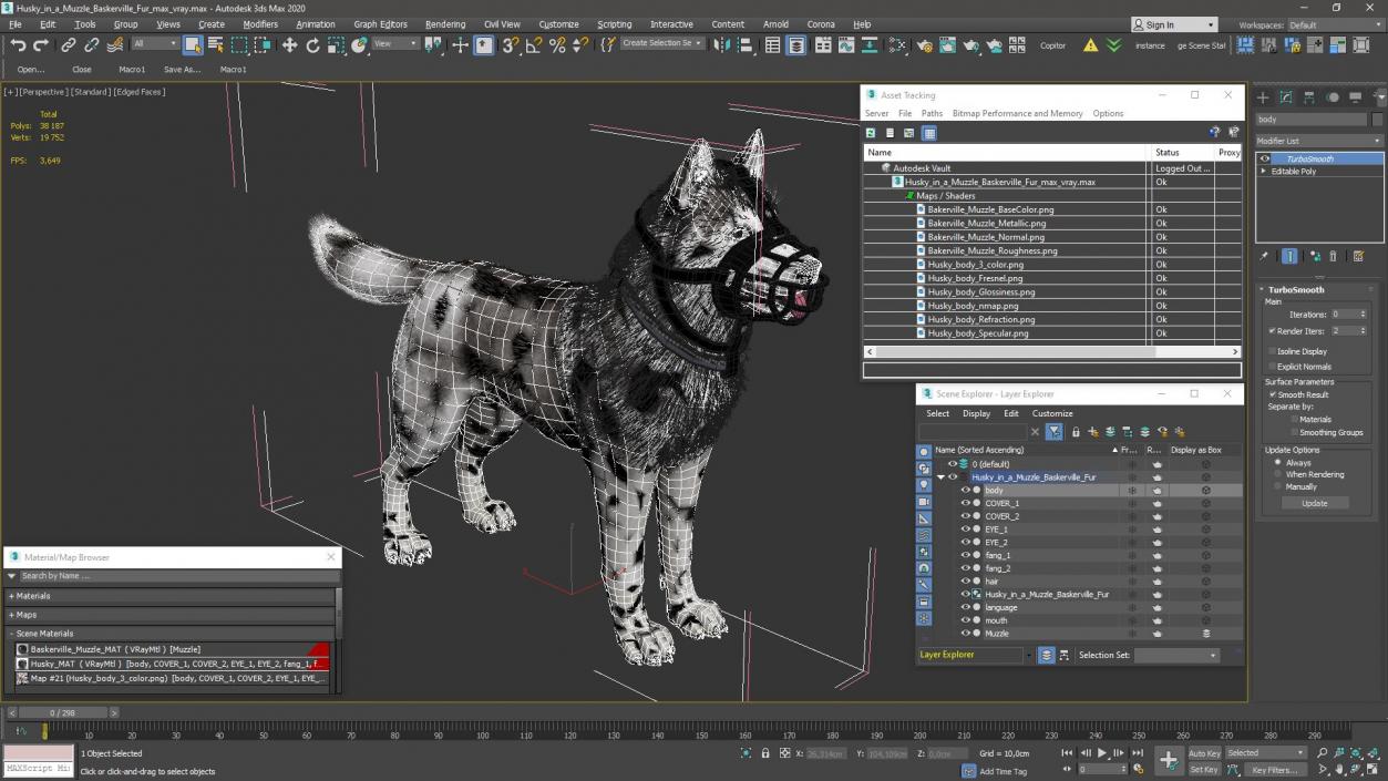 3D Husky in a Muzzle Baskerville Fur model