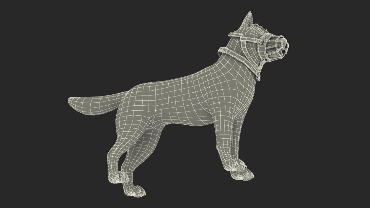 3D Husky in a Muzzle Baskerville Fur model