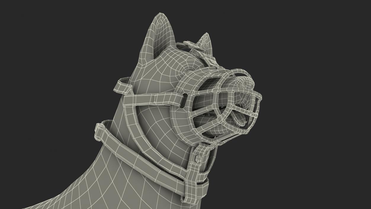 3D Husky in a Muzzle Baskerville Fur model