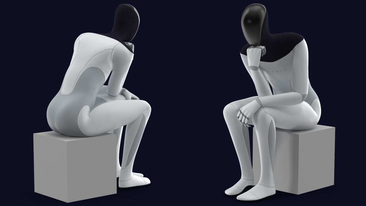 Tesla Bot Thinker Pose 3D