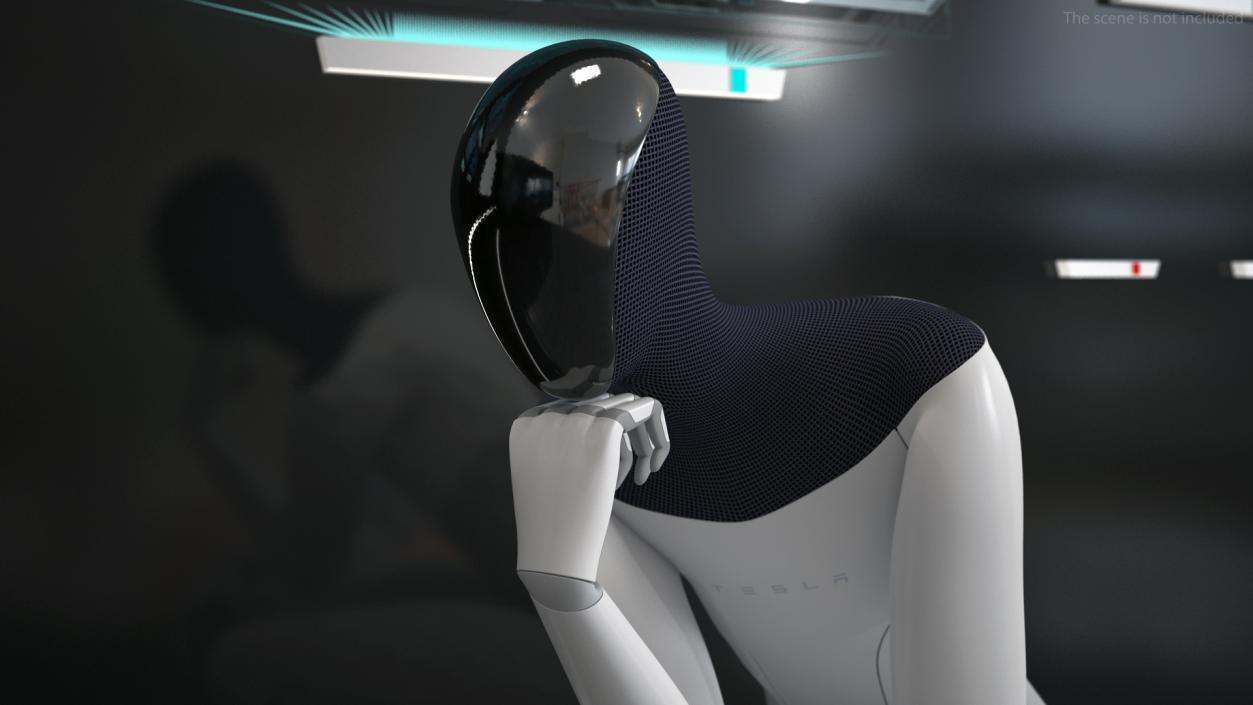 Tesla Bot Thinker Pose 3D