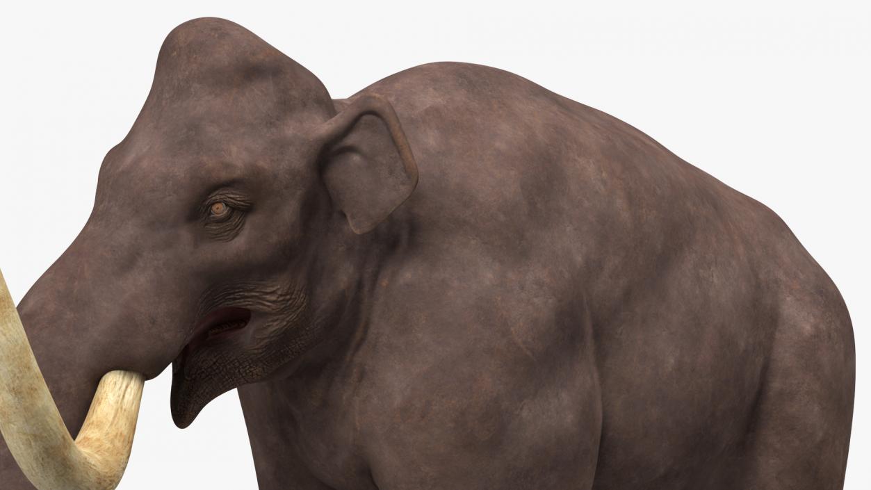 3D Mammoth Adult model