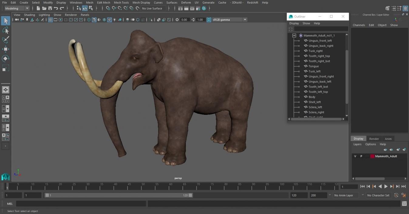 3D Mammoth Adult model