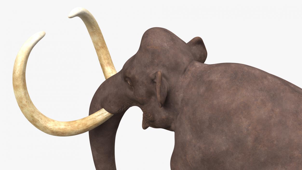 3D Mammoth Adult model