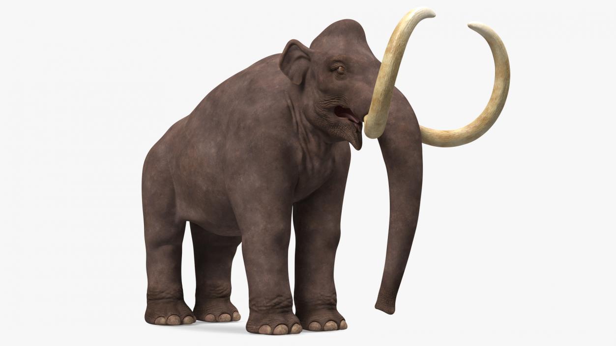 3D Mammoth Adult model