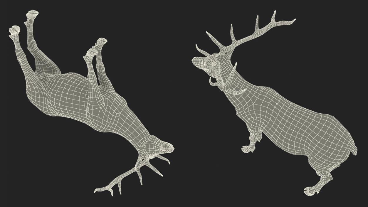 Realistic Elk Rigged with Fur 3D model