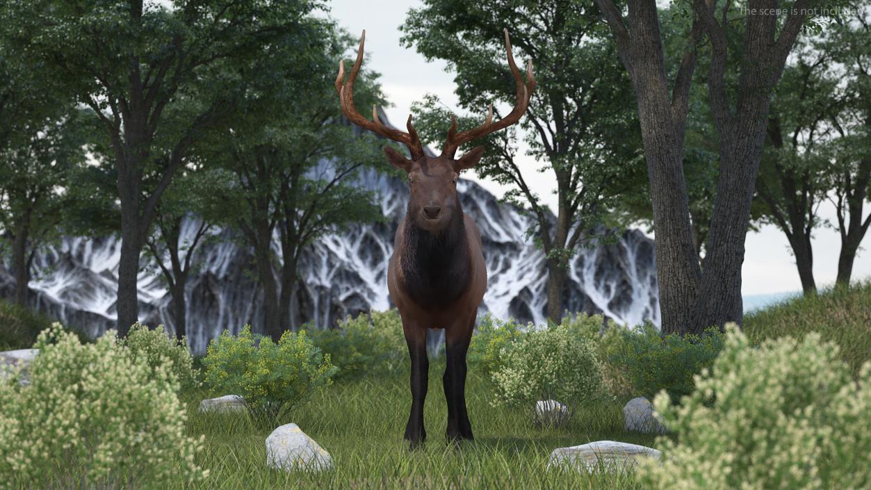 Realistic Elk Rigged with Fur 3D model