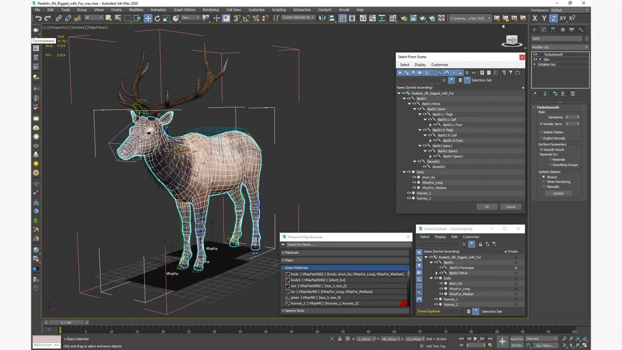 Realistic Elk Rigged with Fur 3D model