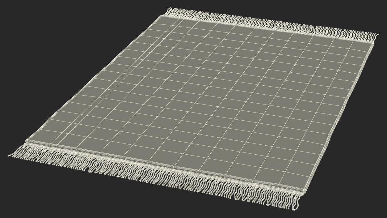 Modern Wool Rug White(1) 3D model