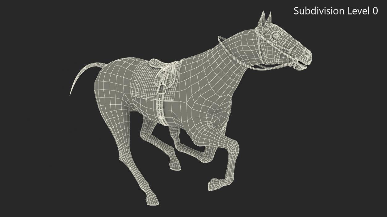 Racehorse White Rigged 3D