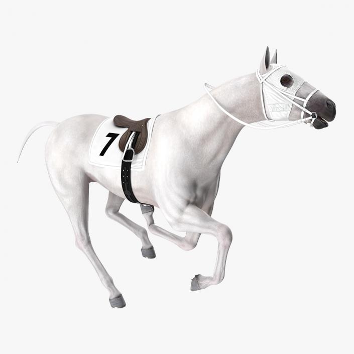 Racehorse White Rigged 3D