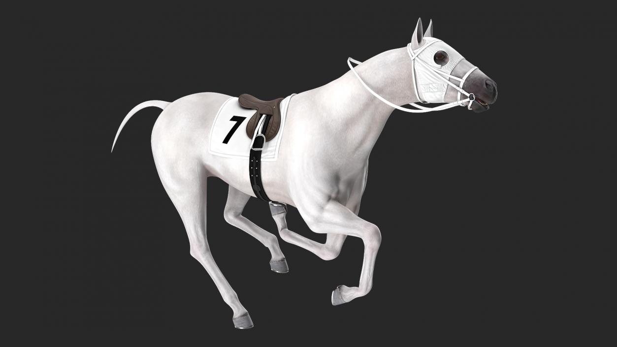 Racehorse White Rigged 3D