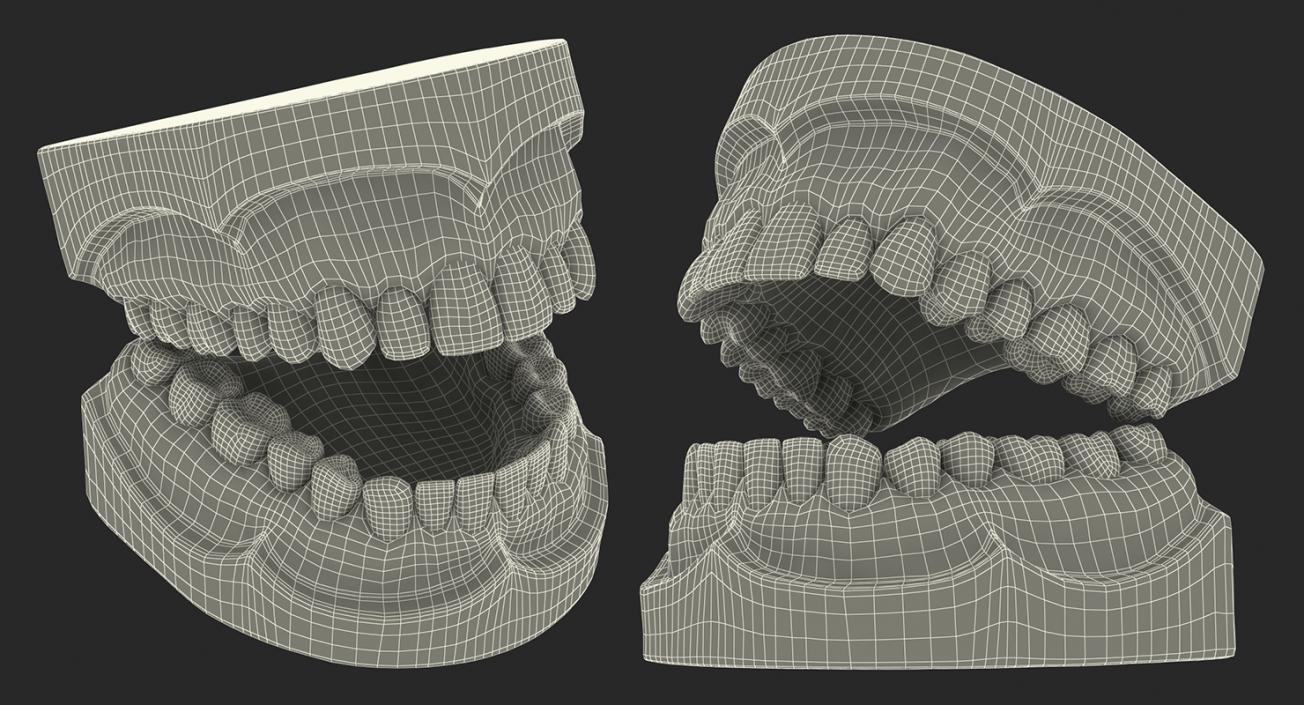 Dental Collection 3D