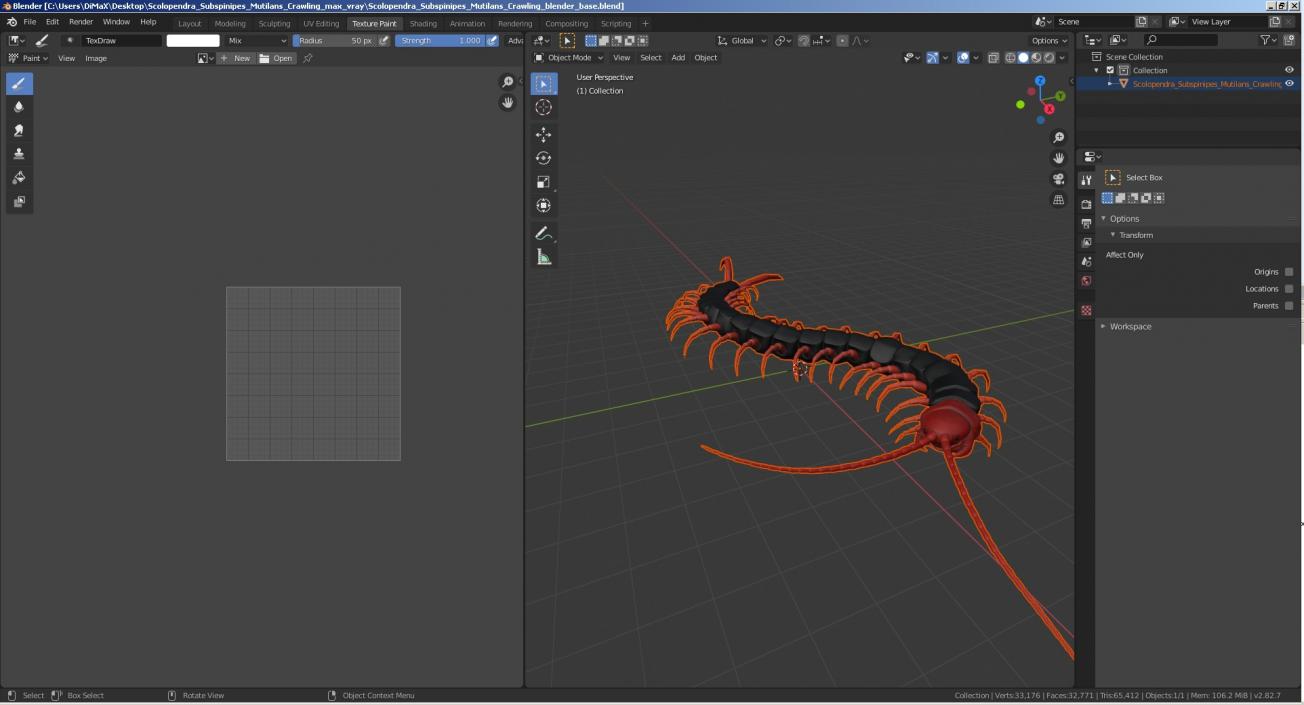 3D Scolopendra Subspinipes Mutilans Crawling