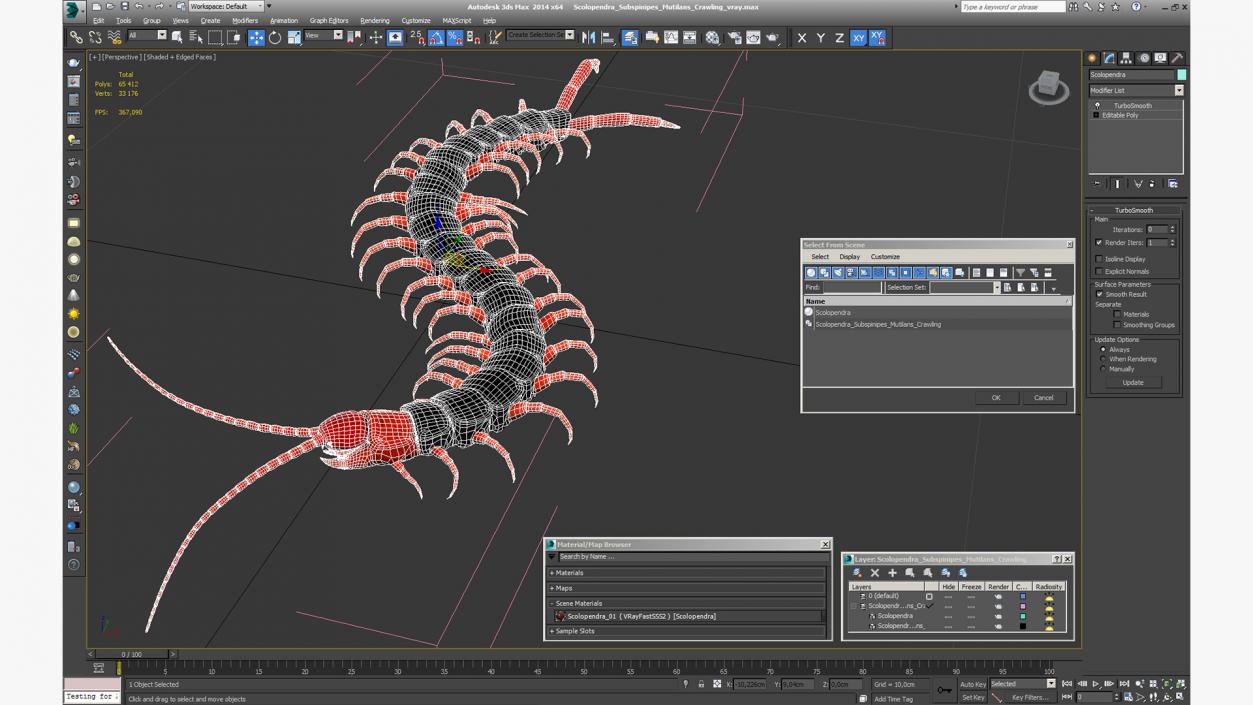 3D Scolopendra Subspinipes Mutilans Crawling