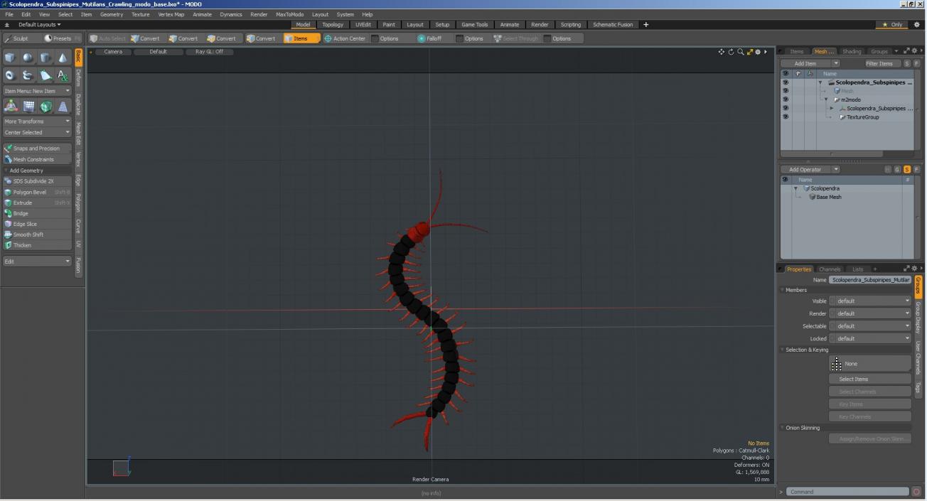 3D Scolopendra Subspinipes Mutilans Crawling