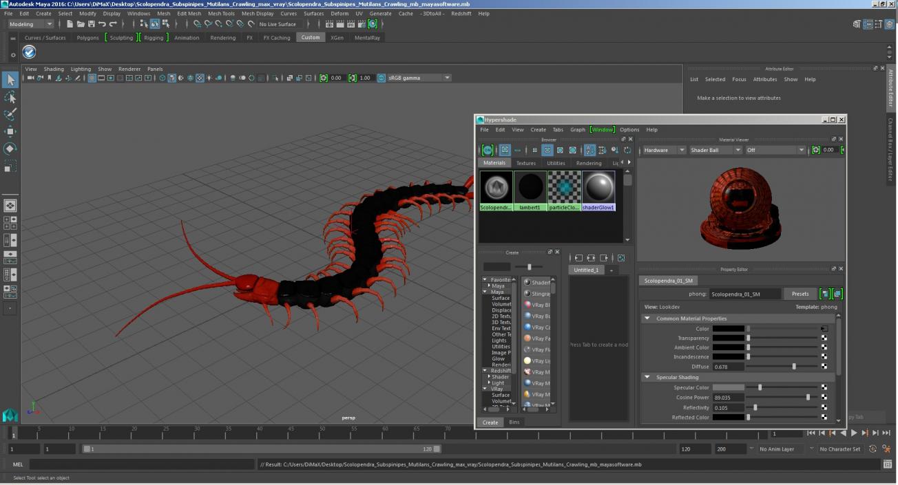 3D Scolopendra Subspinipes Mutilans Crawling